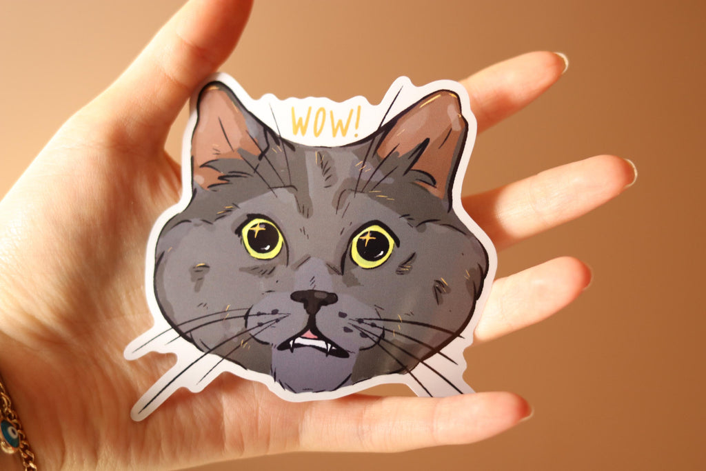 Surprised Cat Sticker: Glossy Laptop Decal, Water Resistant
