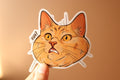 Confused Cat Sticker: Funny Laptop Decal, Water Resistant