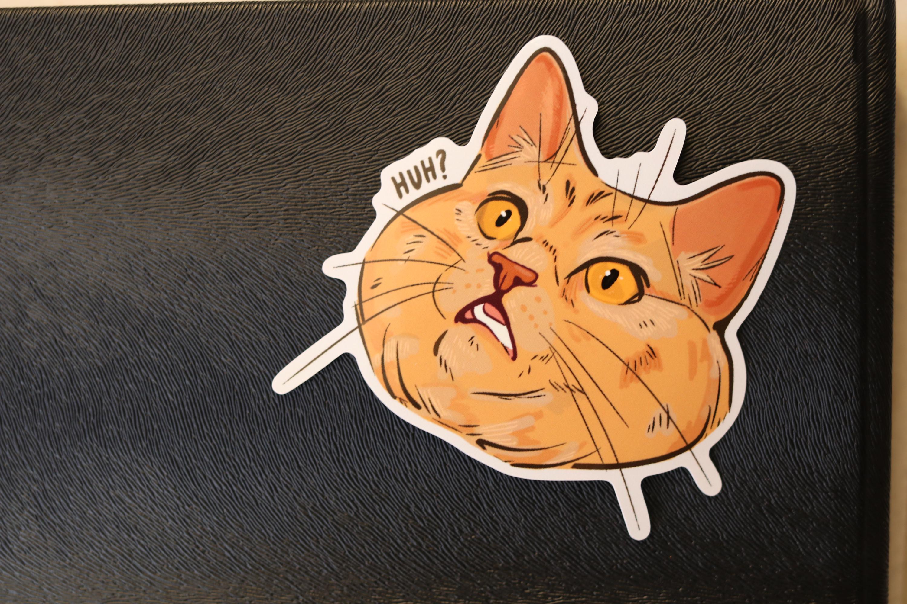 Confused Cat Sticker: Funny Laptop Decal, Water Resistant