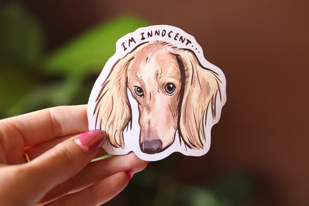 Cream Dachshund Sticker: "I'm Innocent" Vinyl Decal