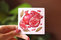 Pomegranate Vinyl Sticker 3" by 3" | Fruit stationary | laptop Decal