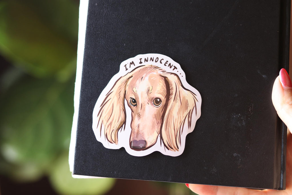 Cream Dachshund Sticker: "I'm Innocent" Vinyl Decal