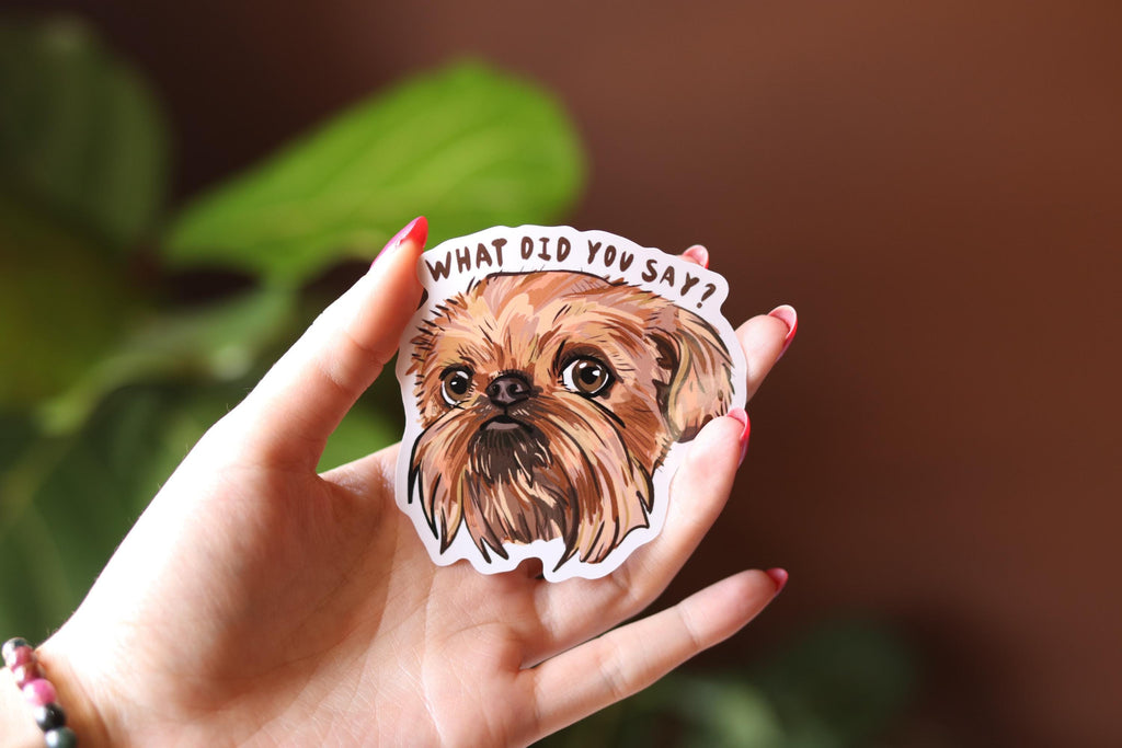 Brussels Griffon Vinyl Sticker: "What did you say?" Dog Decal