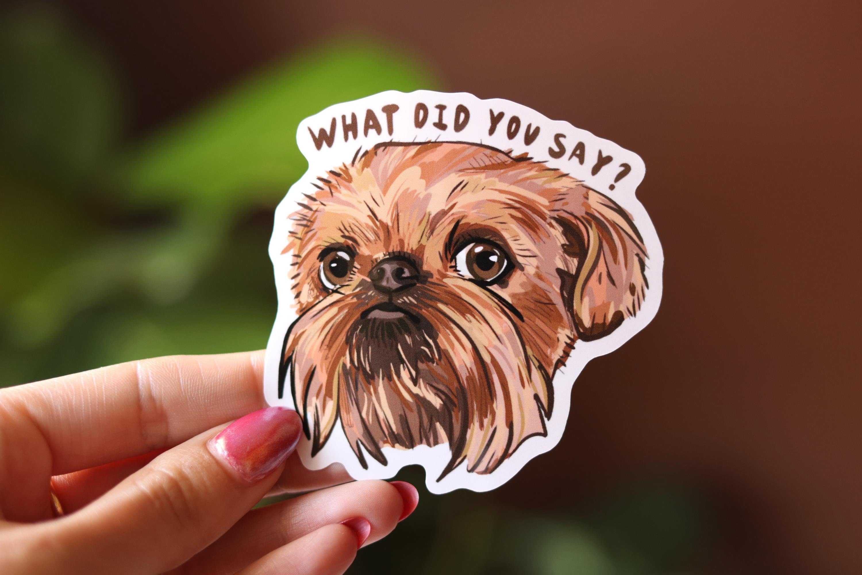 Brussels Griffon Vinyl Sticker: "What did you say?" Dog Decal