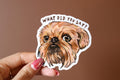 Brussels Griffon Vinyl Sticker: "What did you say?" Dog Decal