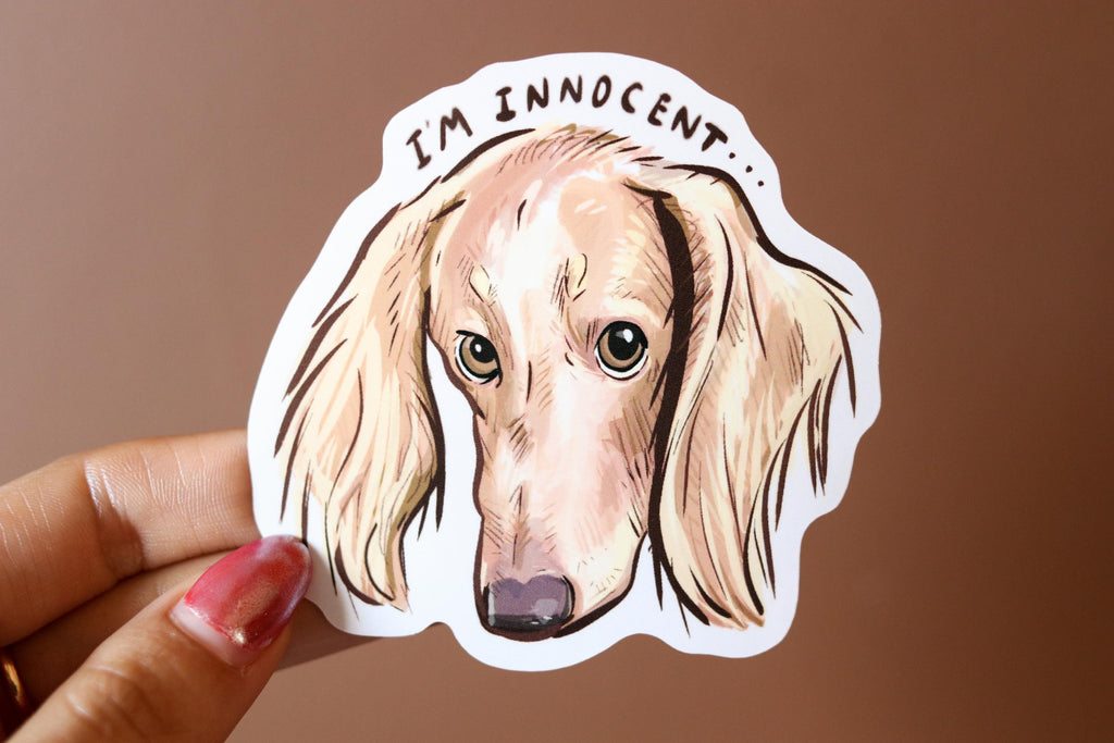 Cream Dachshund Sticker: "I'm Innocent" Vinyl Decal