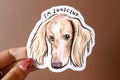 Cream Dachshund Sticker: "I'm Innocent" Vinyl Decal