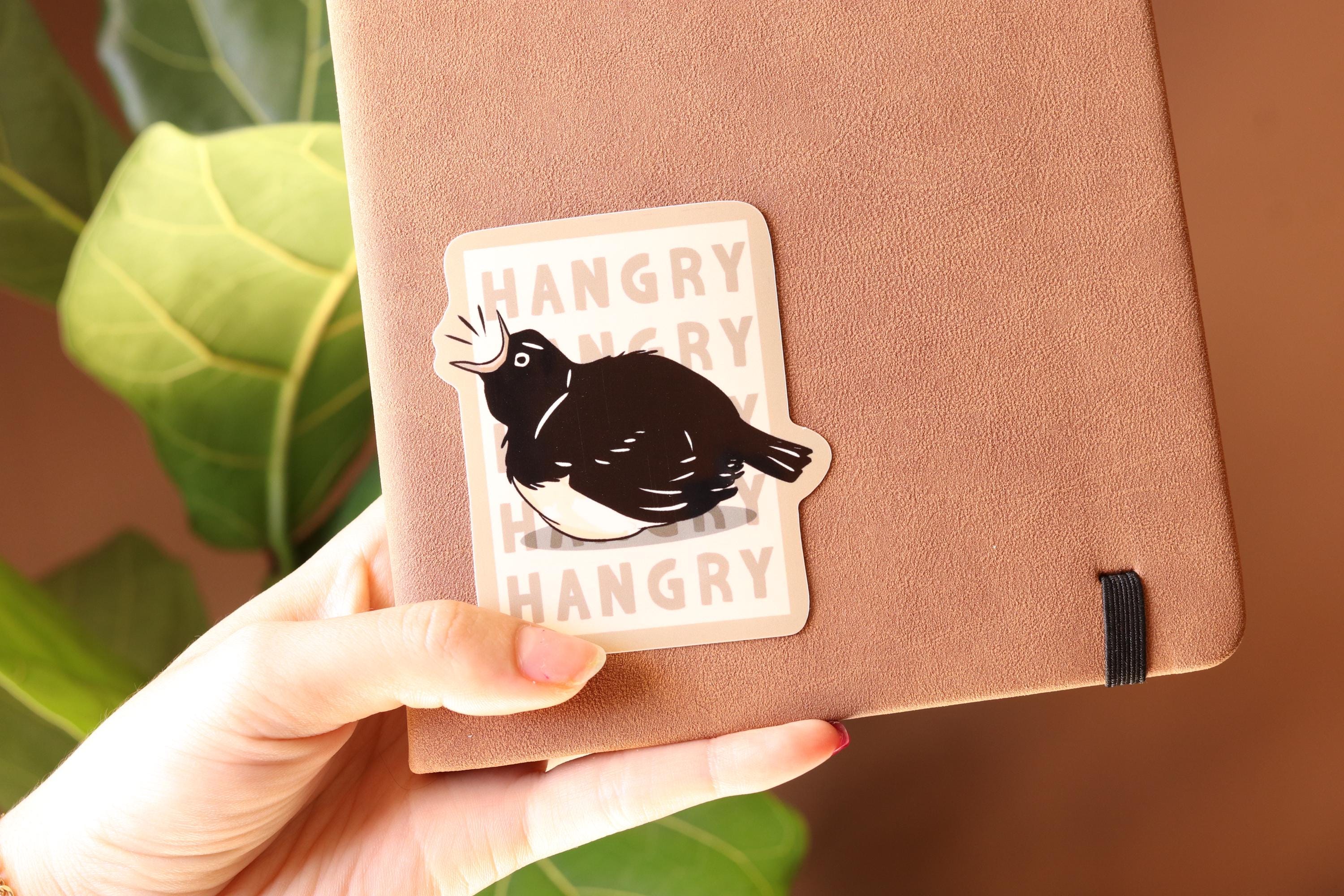 Hangry Willie Wagtail Vinyl Sticker - Australian Bird Decal