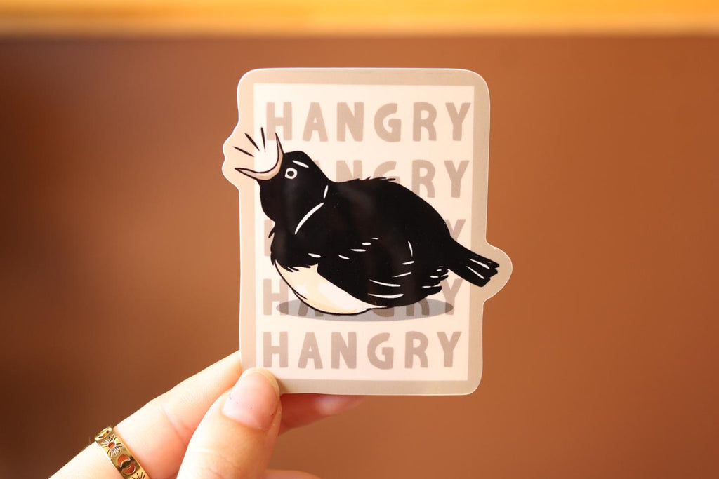 Hangry Willie Wagtail Vinyl Sticker - Australian Bird Decal
