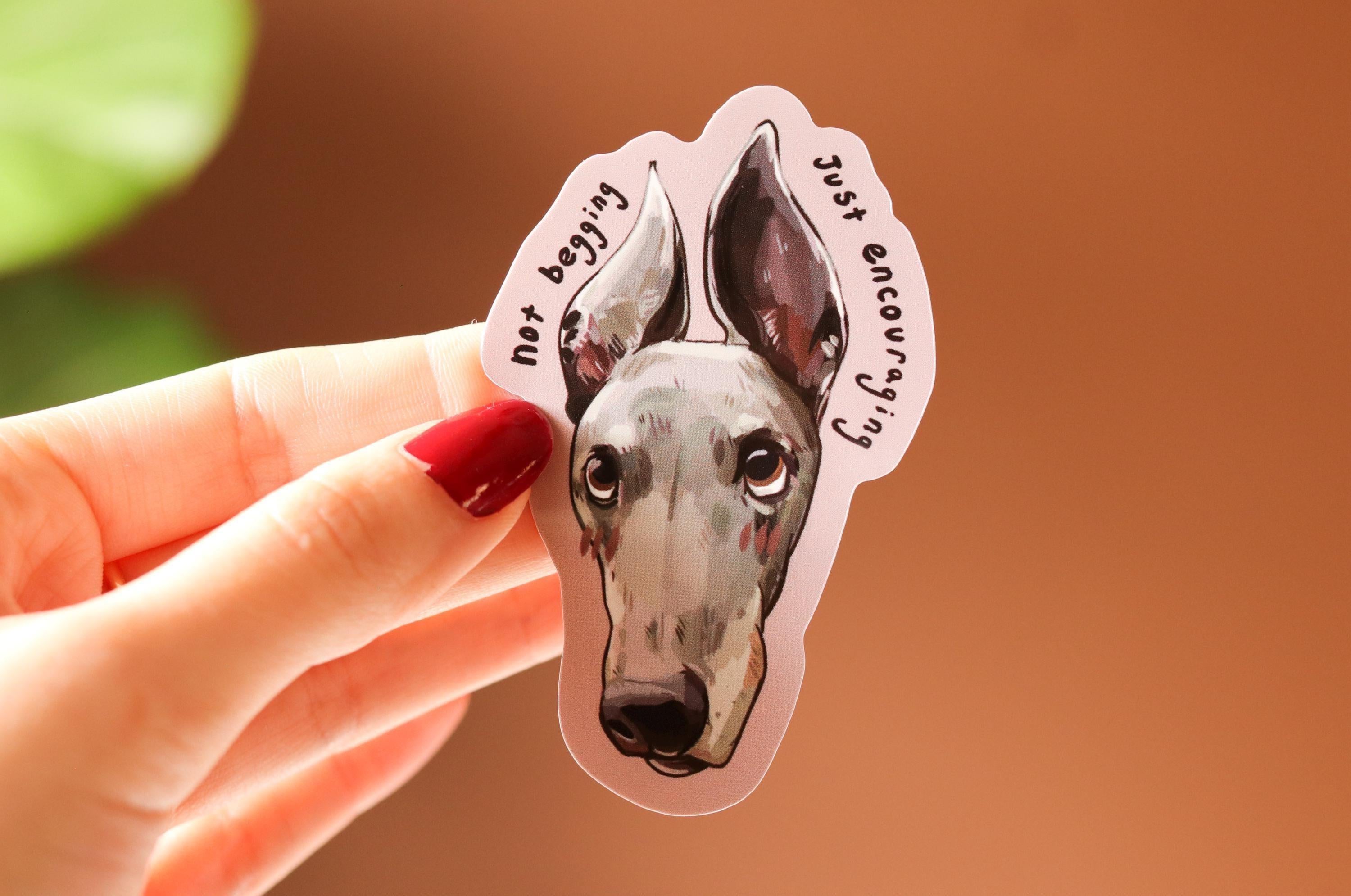 Begging Greyhound Sticker | Dog Laptop Decal