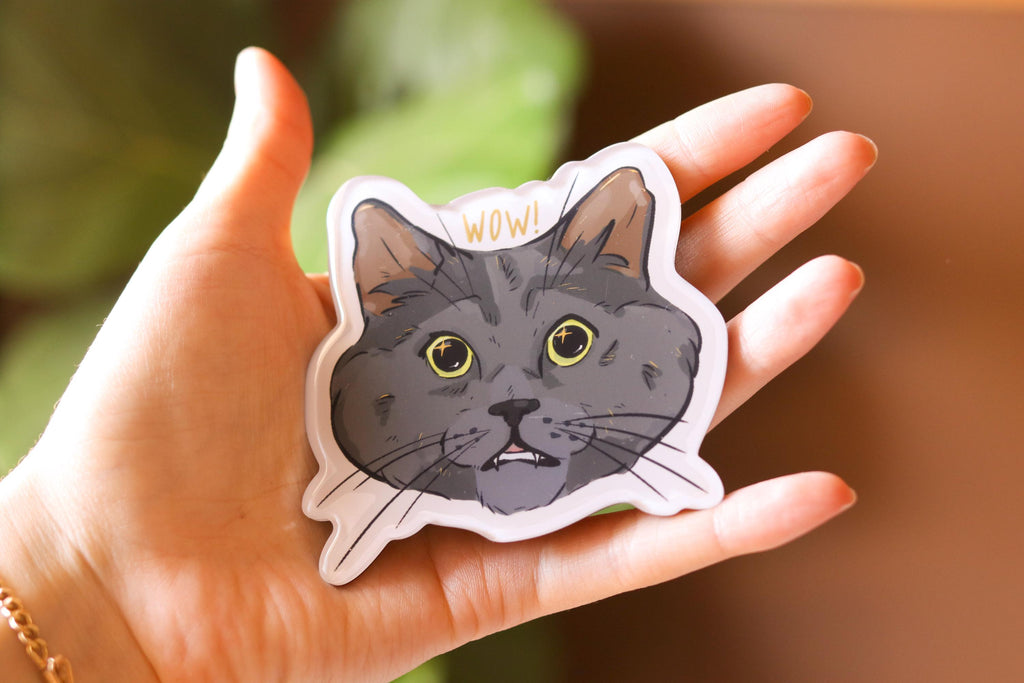 Shocked Black Cat Magnet | Epoxy Resin Magnet