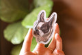 Moody French Bulldog Magnet | Dog themed Epoxy magnet