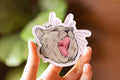 Ahh! Cat Magnet | Epoxy magnet