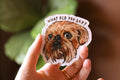 Brussels Griffon Magnet "What did you say?" | Dog themed Epoxy Magnet