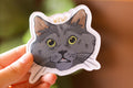 Shocked Black Cat Magnet | Epoxy Resin Magnet