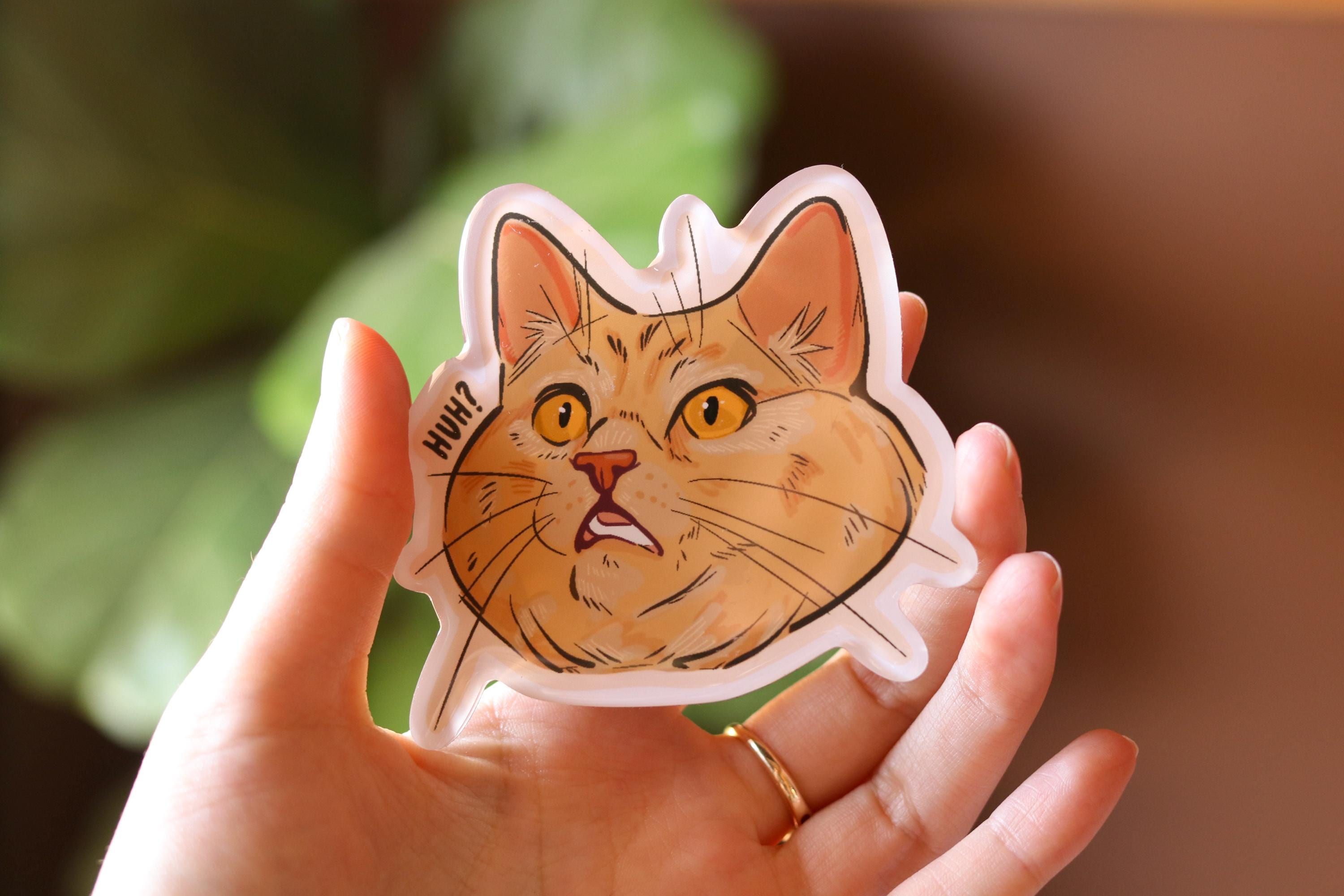 Confused Orange Cat Magnet | Epoxy Magnet