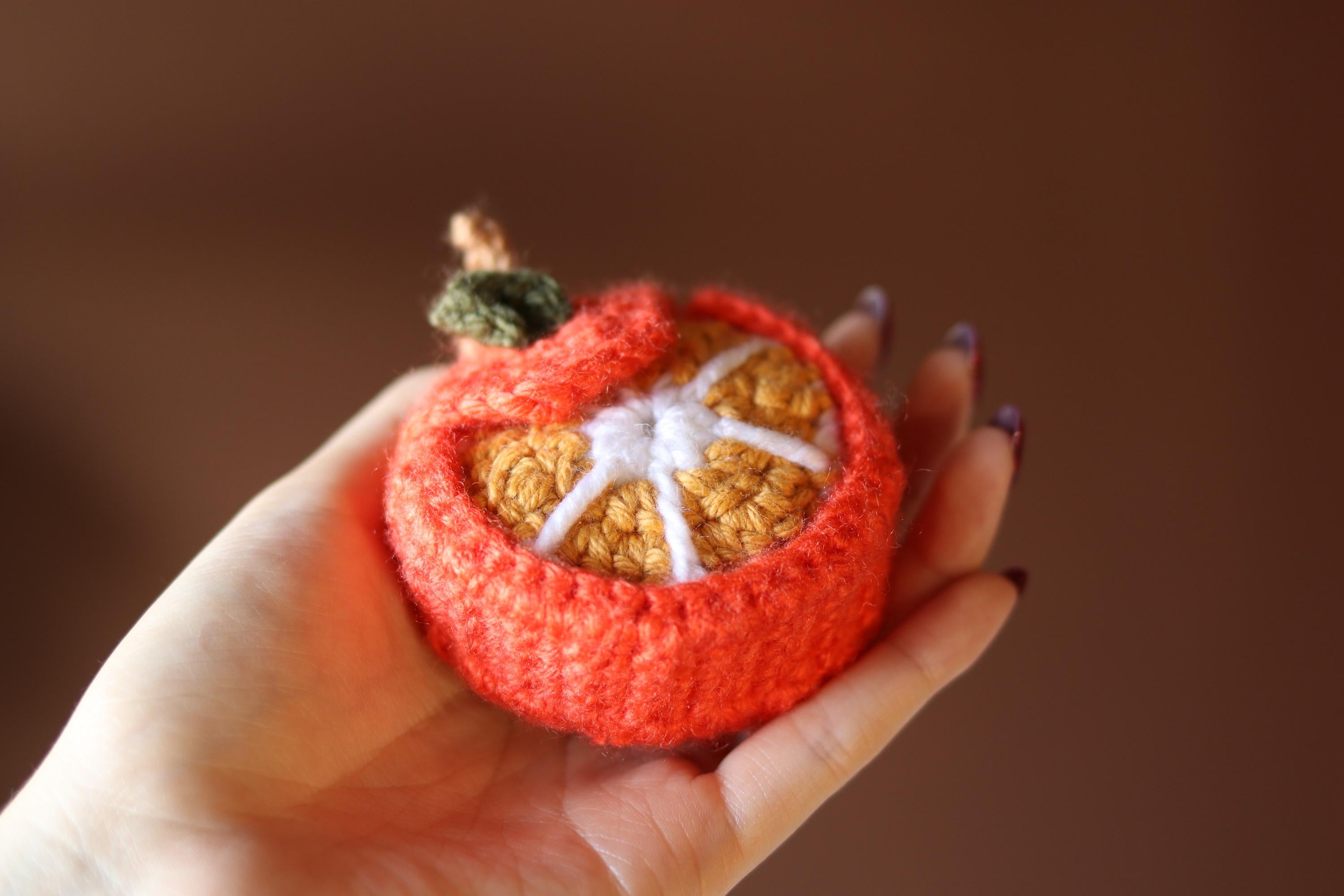 Crochet Orange Case: AirPods Pouch & Coin Purse