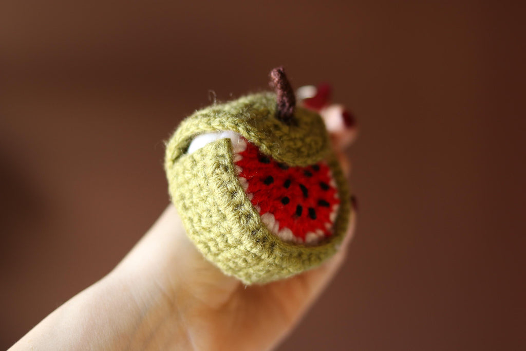 Crochet Watermelon Case: AirPods Pouch & Coin Purse