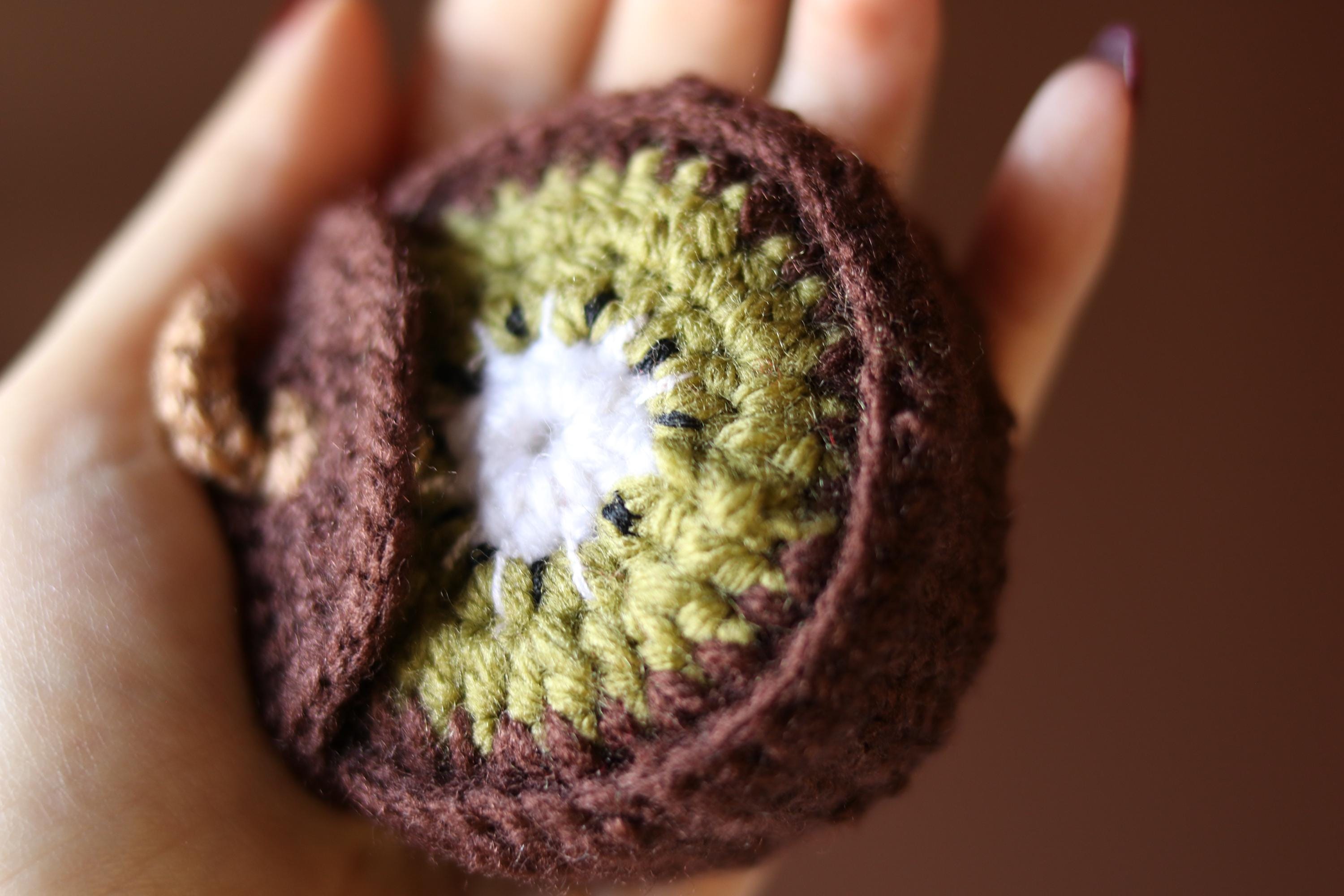 Crochet Kiwi Case: AirPods Pouch & Coin Purse