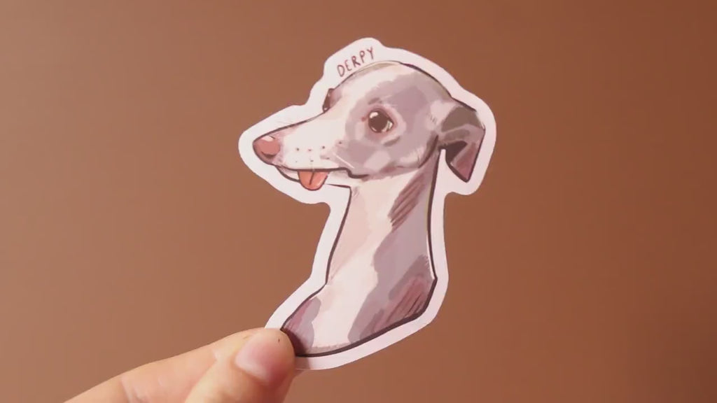 Derpy Whippet Sticker | Dog Vinyl Decal