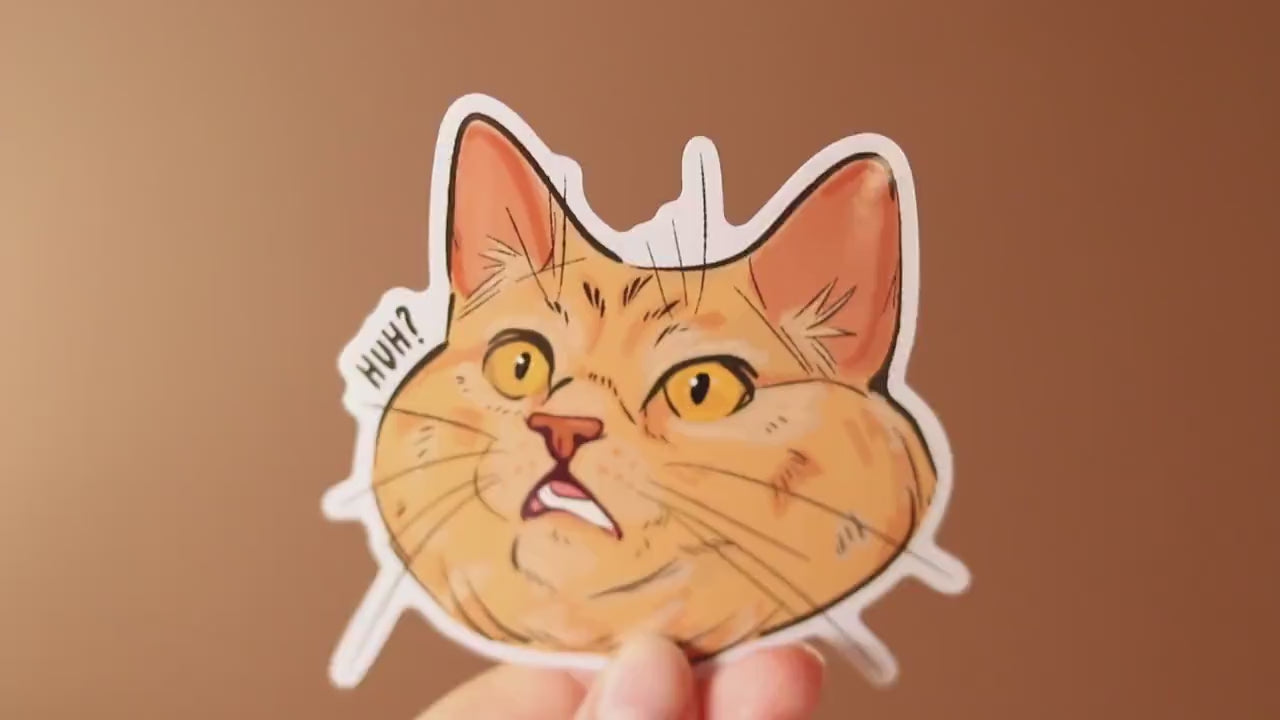 Confused Cat Sticker: Funny Laptop Decal, Water Resistant