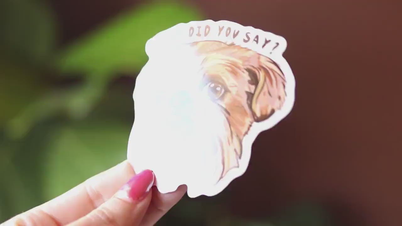 Brussels Griffon Vinyl Sticker: "What did you say?" Dog Decal