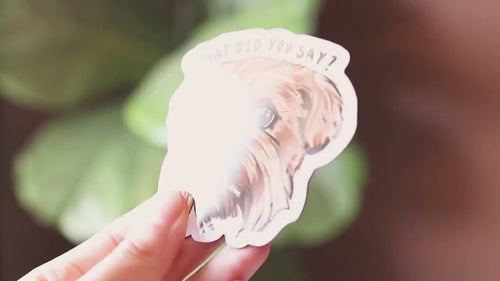 Brussels Griffon Magnet "What did you say?" | Dog themed Epoxy Magnet