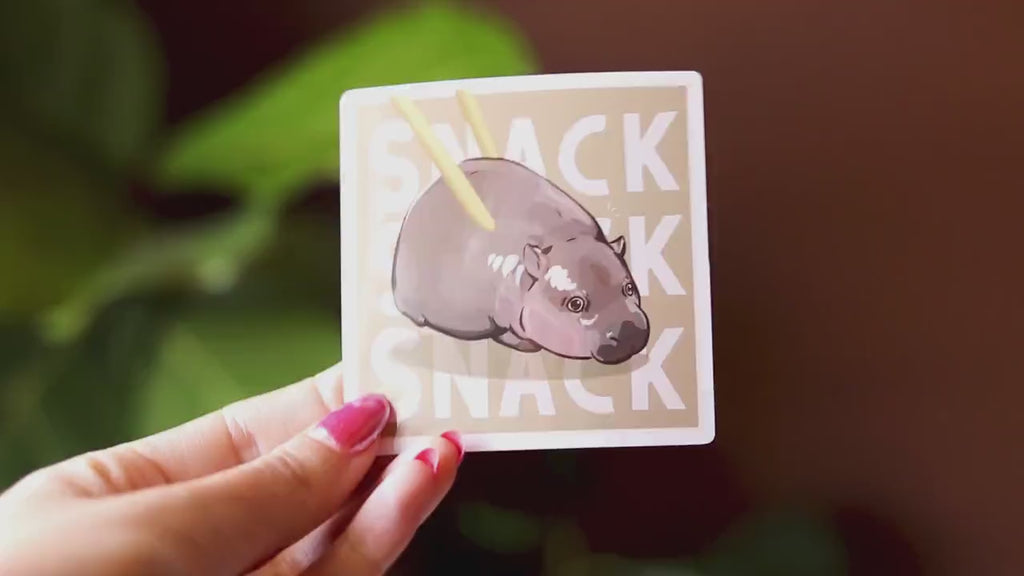 Snack Hippo Vinyl Sticker: Chonky Pygmy Hippo Laptop Decal