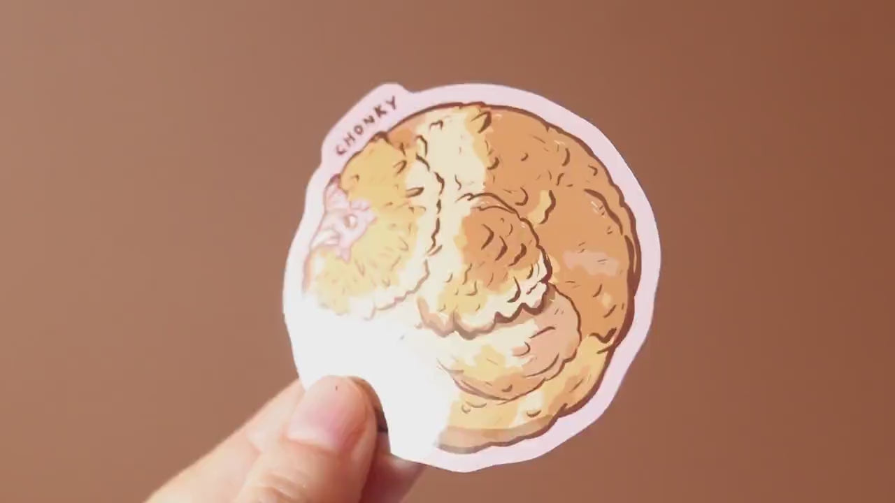 Chonky Chicken Vinyl Sticker | Meme Decal, Water Resistant