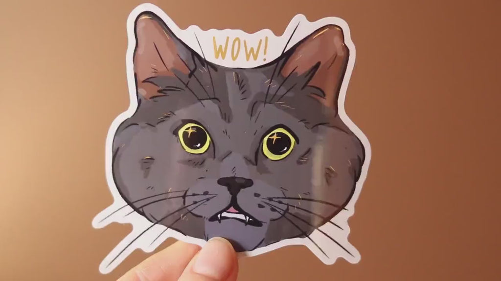 Surprised Cat Sticker: Glossy Laptop Decal, Water Resistant
